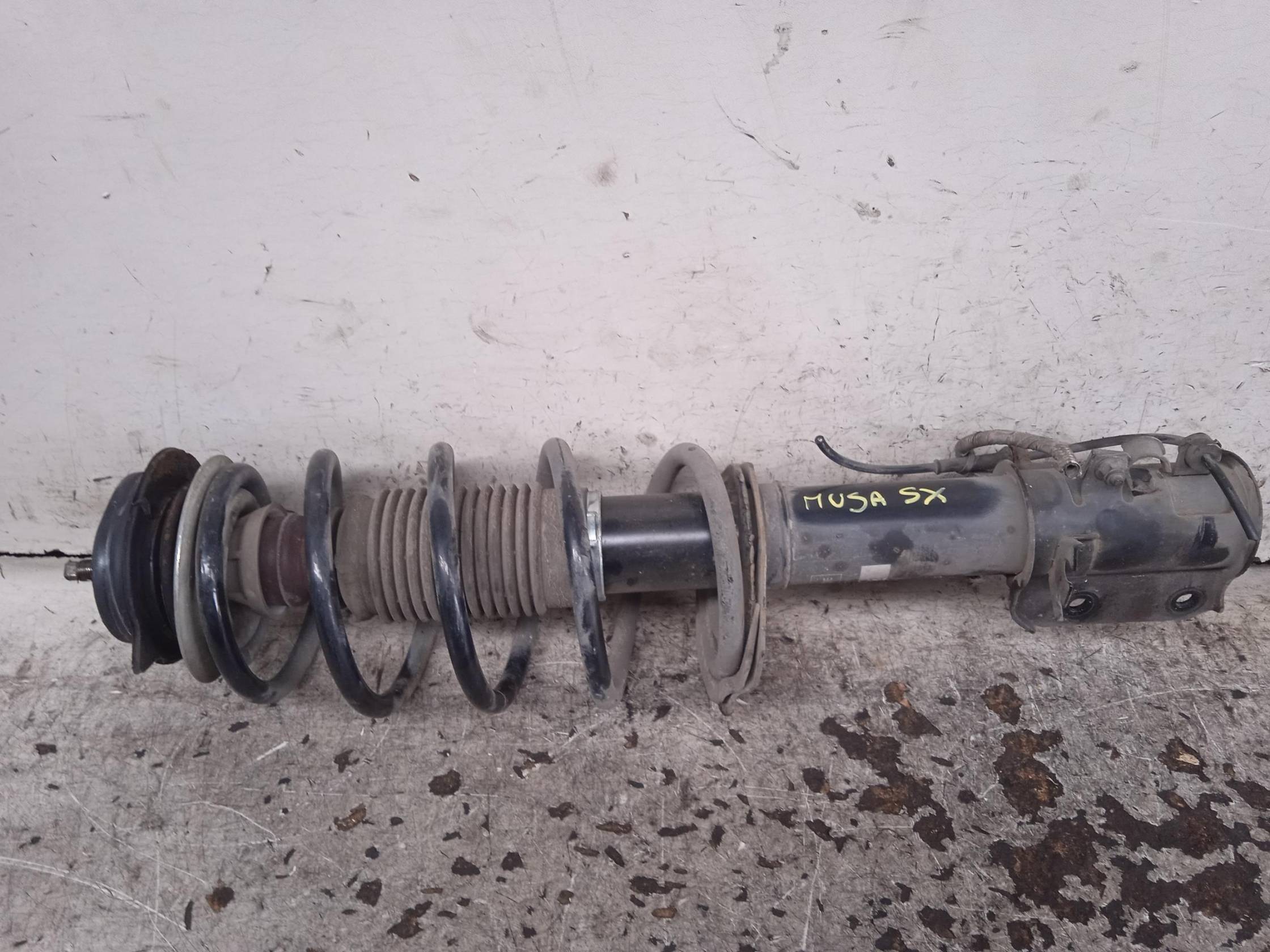 Ammortizzatore ant. sx.